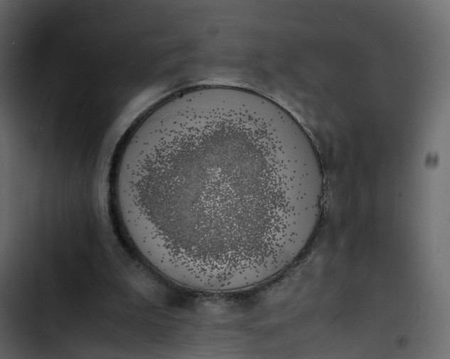 X0000102860199200809021432