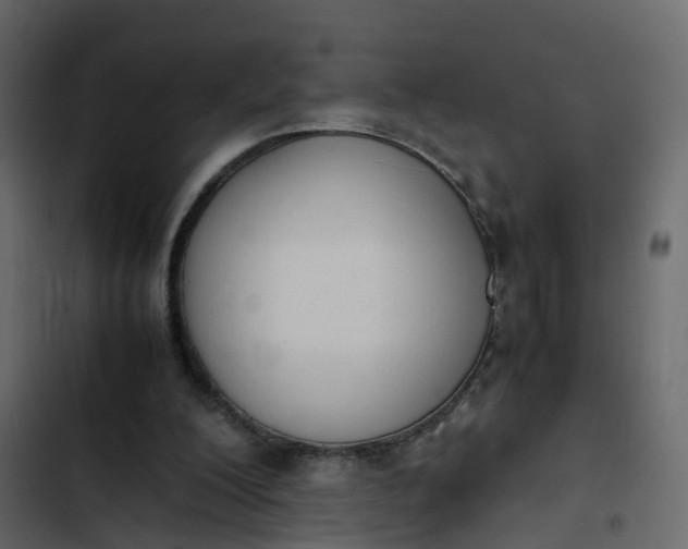 X0000102860200200809021432