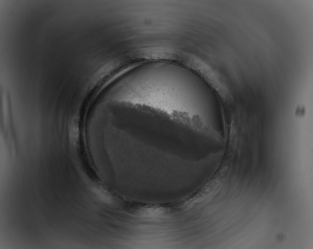 X0000102860202200809021432