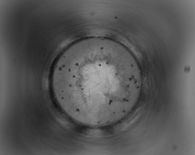 X0000102860203200809021432