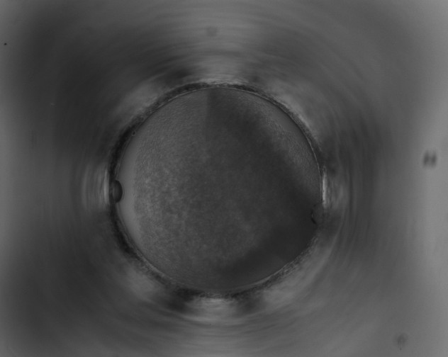 X0000102860205200809021432