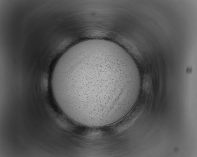 X0000102860206200809021432