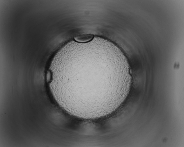 X0000102860207200809021432