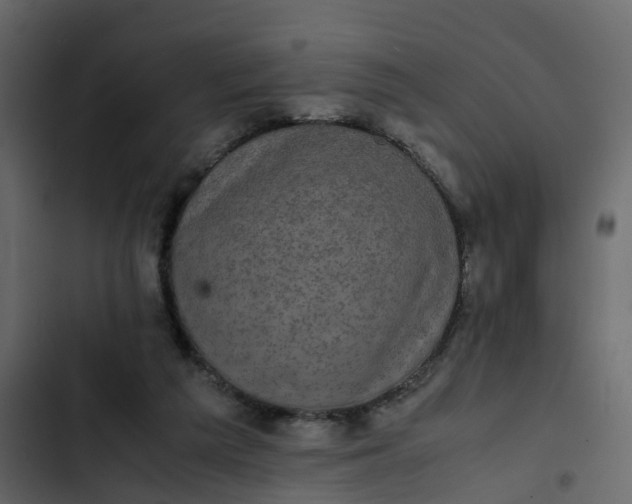 X0000102860209200809021432