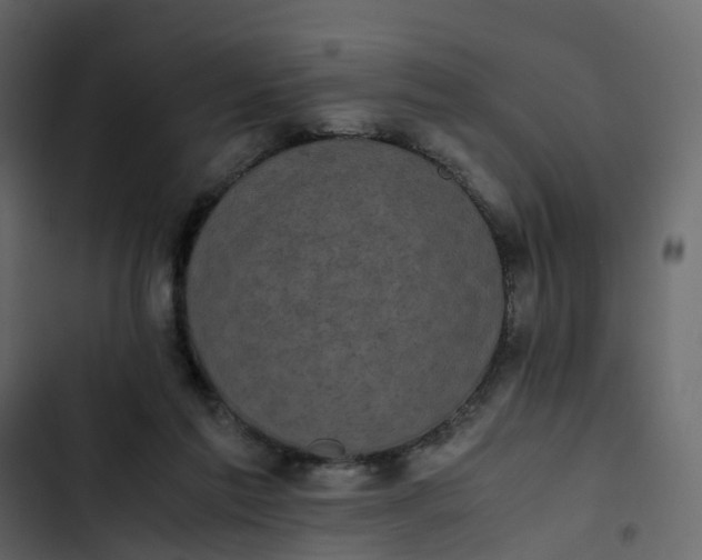 X0000102860213200809021432