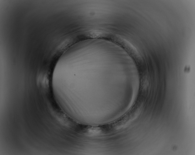 X0000102860214200809021432