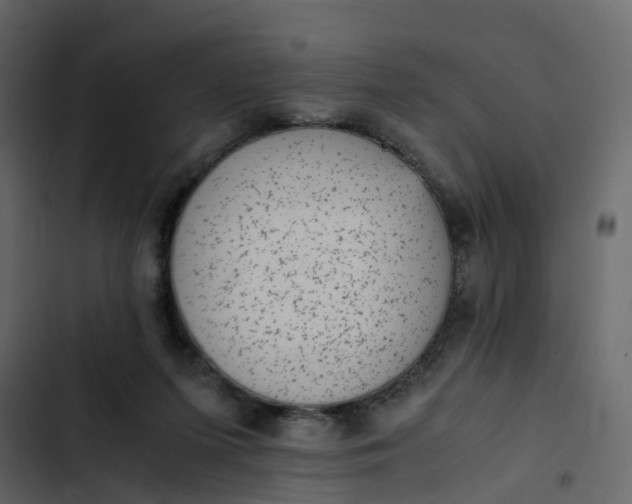 X0000102860215200809021432