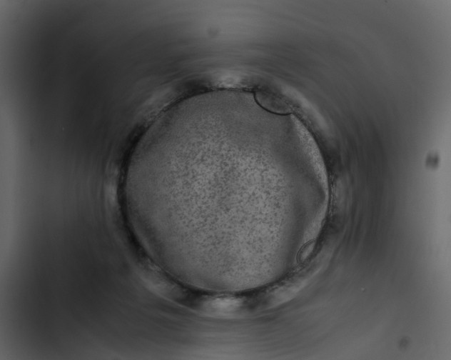 X0000102860217200809021432