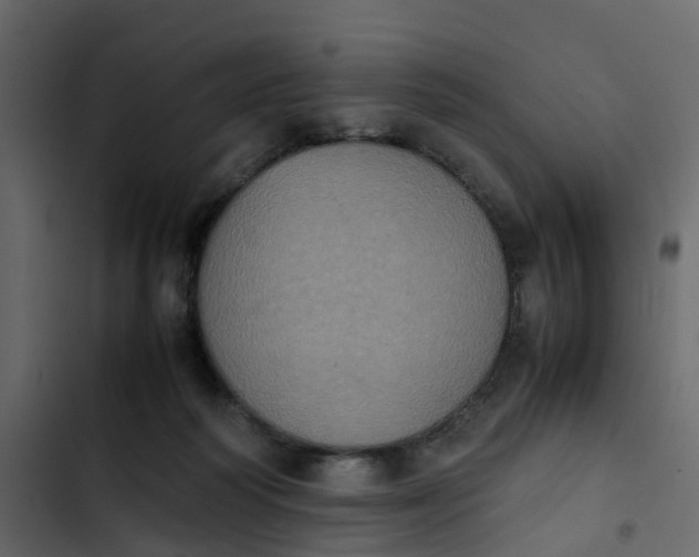 X0000102860218200809021432