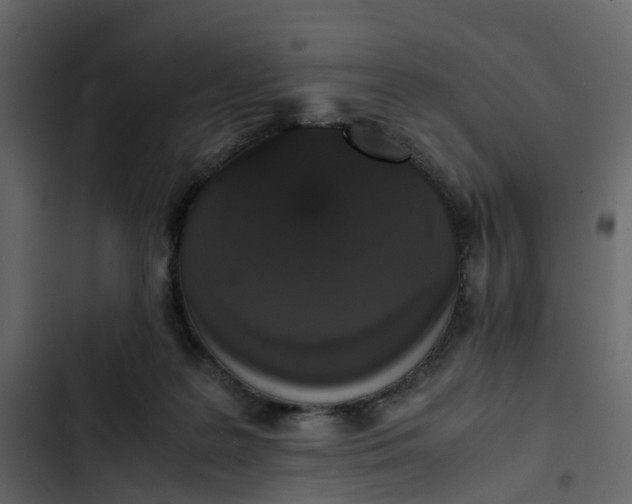 X0000102860219200809021432