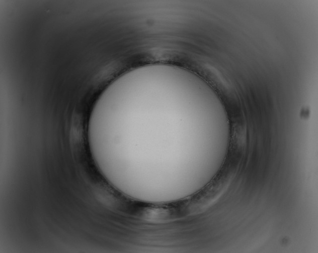 X0000102860220200809021432