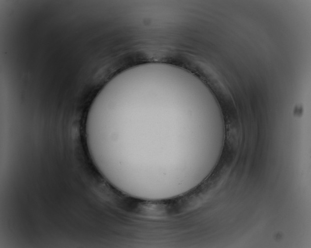 X0000102860221200809021432