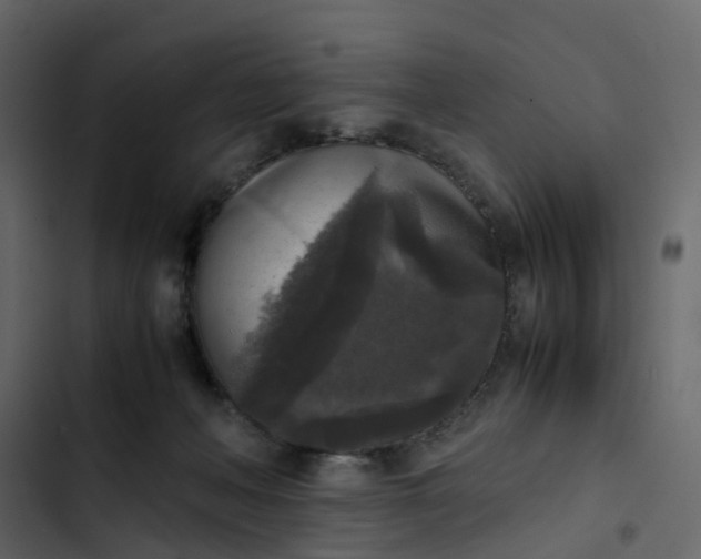 X0000102860222200809021432