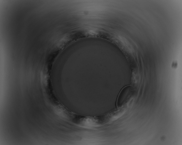 X0000102860223200809021432