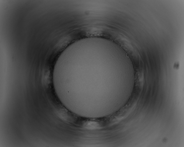 X0000102860224200809021432