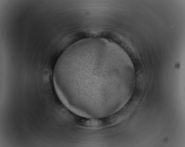 X0000102860225200809021432