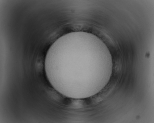 X0000102860226200809021432