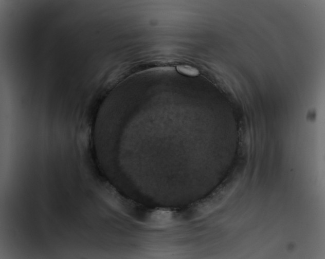 X0000102860227200809021432