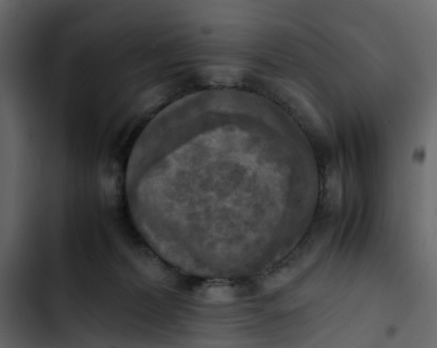 X0000102860228200809021432