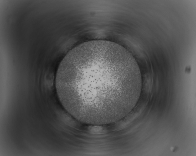 X0000102860230200809021432