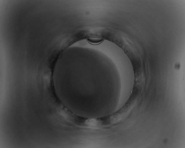 X0000102860231200809021432