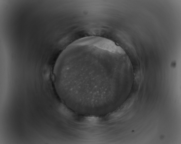 X0000102860233200809021432