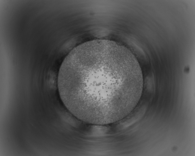 X0000102860234200809021432