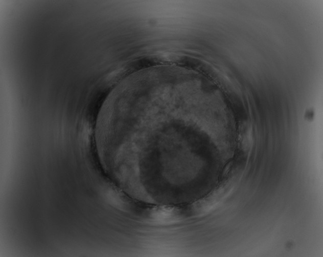 X0000102860235200809021432