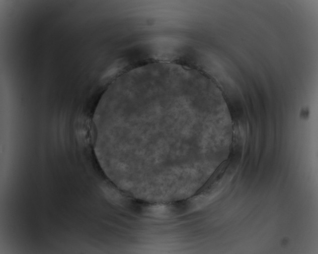 X0000102860237200809021432