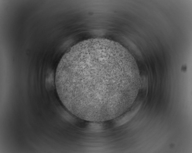 X0000102860238200809021432