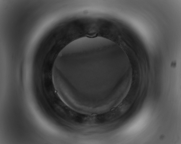 X0000102860239200809021432