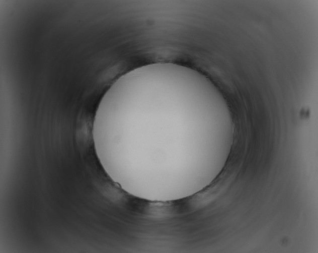 X0000102860240200809021431