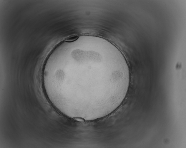 X0000102860241200809021431