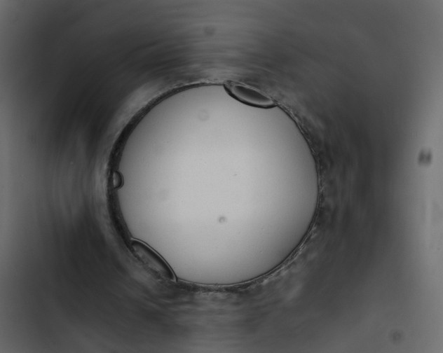 X0000102860242200809021431