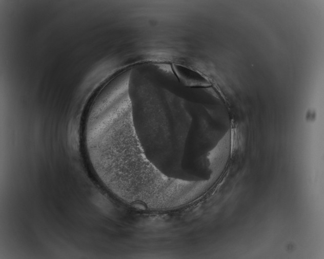 X0000102860243200809021431