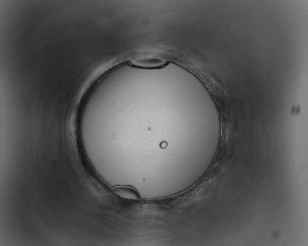 X0000102860244200809021431