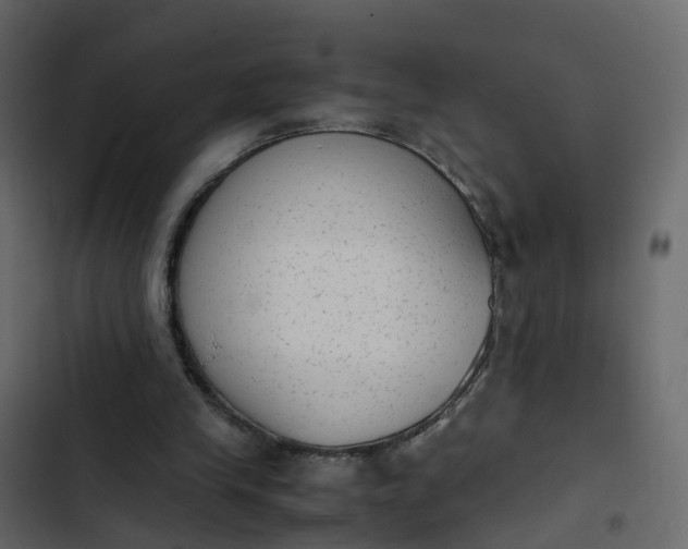 X0000102860245200809021431