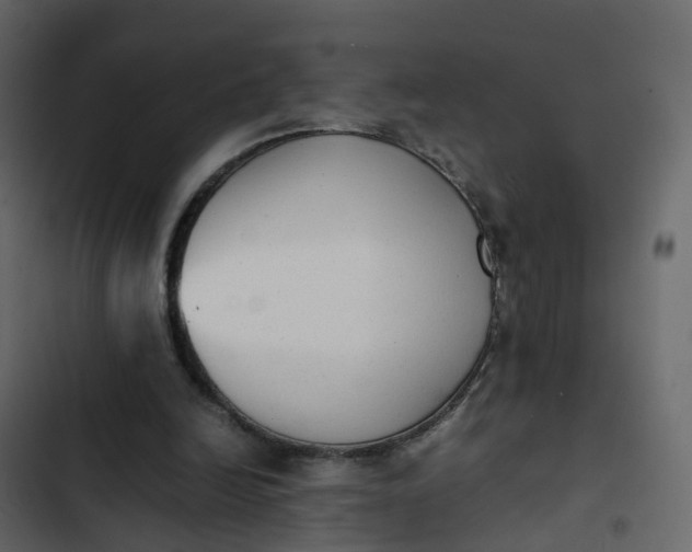 X0000102860246200809021431