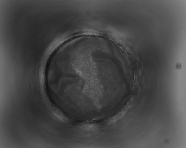 X0000102860247200809021431