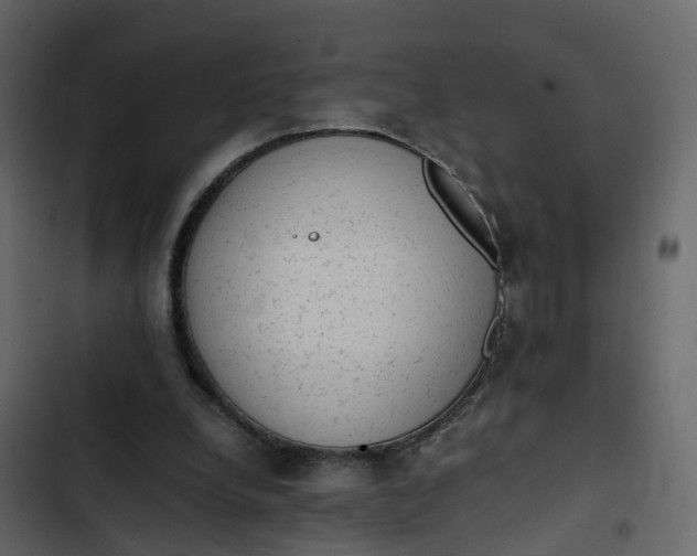 X0000102860248200809021431