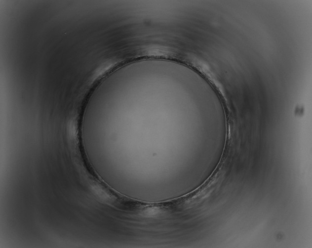 X0000102860249200809021431