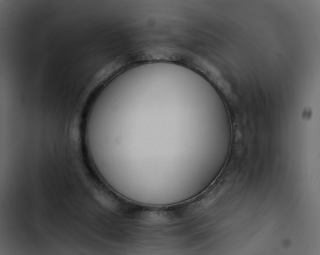 X0000102860250200809021431