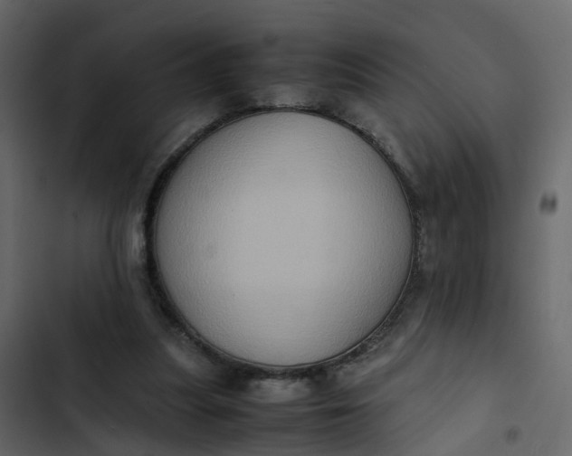 X0000102860251200809021431