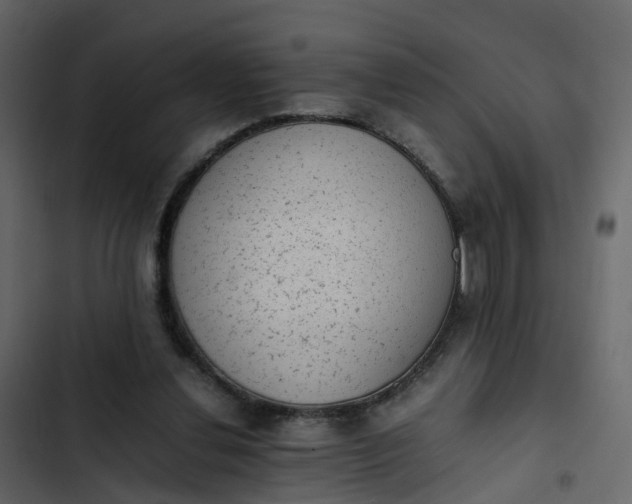 X0000102860252200809021431