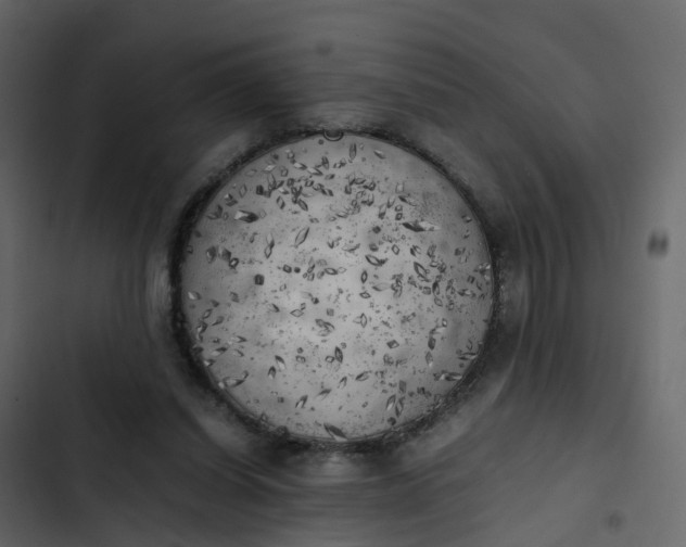 X0000102860254200809021431