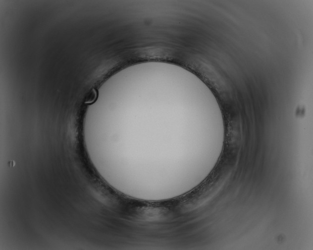 X0000102860255200809021431