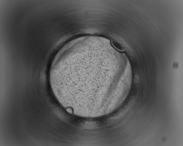 X0000102860256200809021431