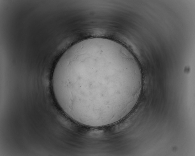 X0000102860257200809021431