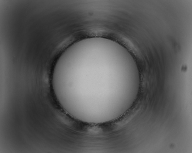 X0000102860258200809021431