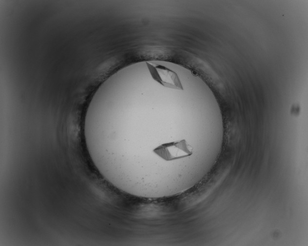 X0000102860259200809021431